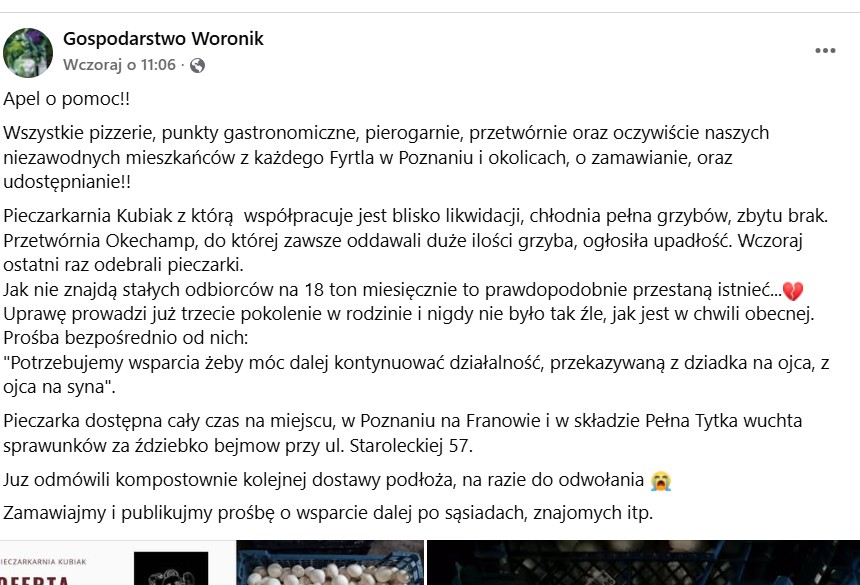 Wpis o pieczarkarni Kubiak