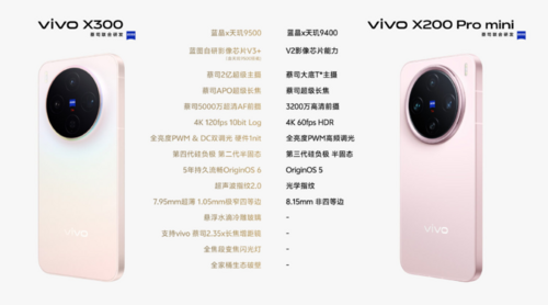 vivo X300