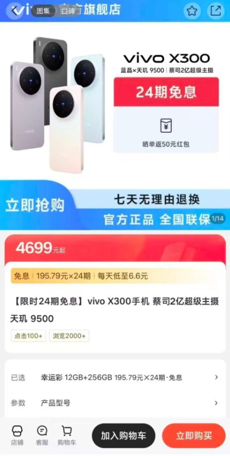 vivo X300