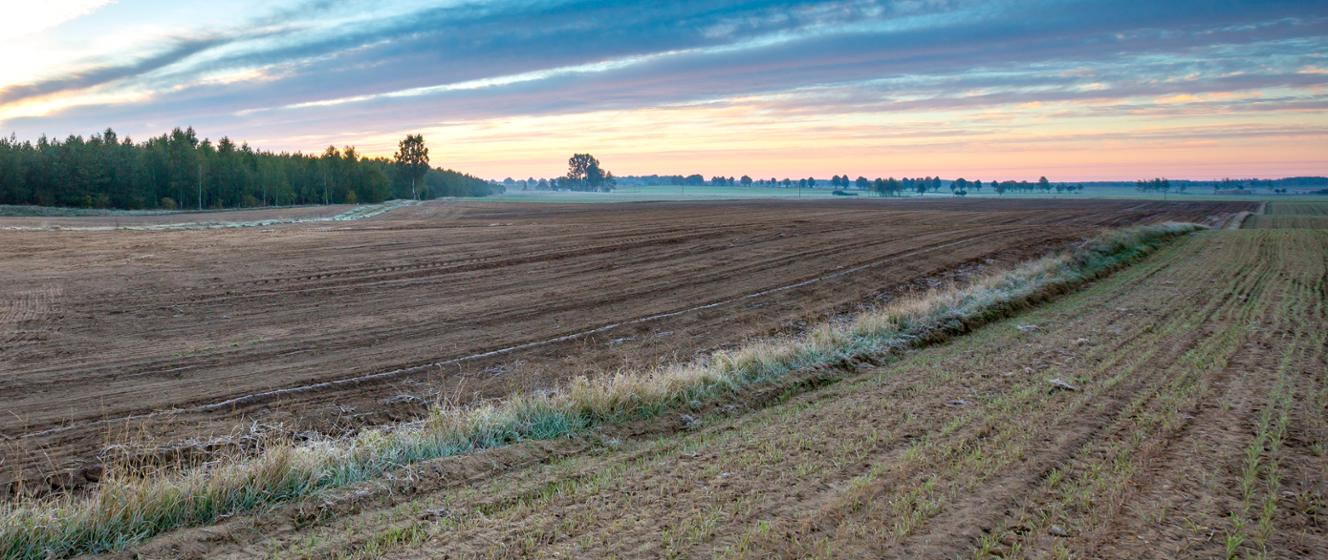 Zaliczki dopłat bezpośrednich i obszarowych za 2025 r. - pierwsze przelewy trafiają do rolników - Agencja Restrukturyzacji i Modernizacji Rolnictwa