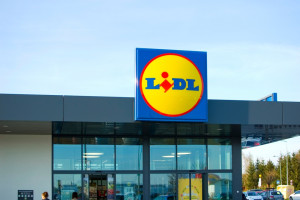 Znicze i chryzantemy w Lidlu. "2+1 za grosz"