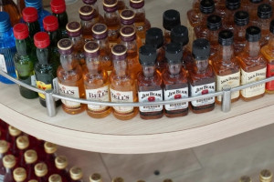 Małpki zalewają polskie miasta. Podwyższą akcyzę na alkohol?