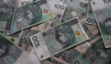 Ile Polacy zebrali na kontach PPK? Podano liczby