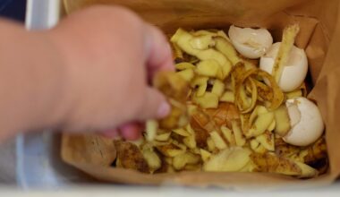 Nowe zasady są odpowiedzią na wciąż niedoskonały system selektywnej zbiórki odpadów BIO w Polsce