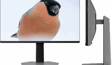 Monitor TCL 25G64 oferuje podświetlenie QD-MIni LED za mniej niż 1000 zł. Matryca Full HD, odświeżanie 300 Hz i FreeSync Premium [1]