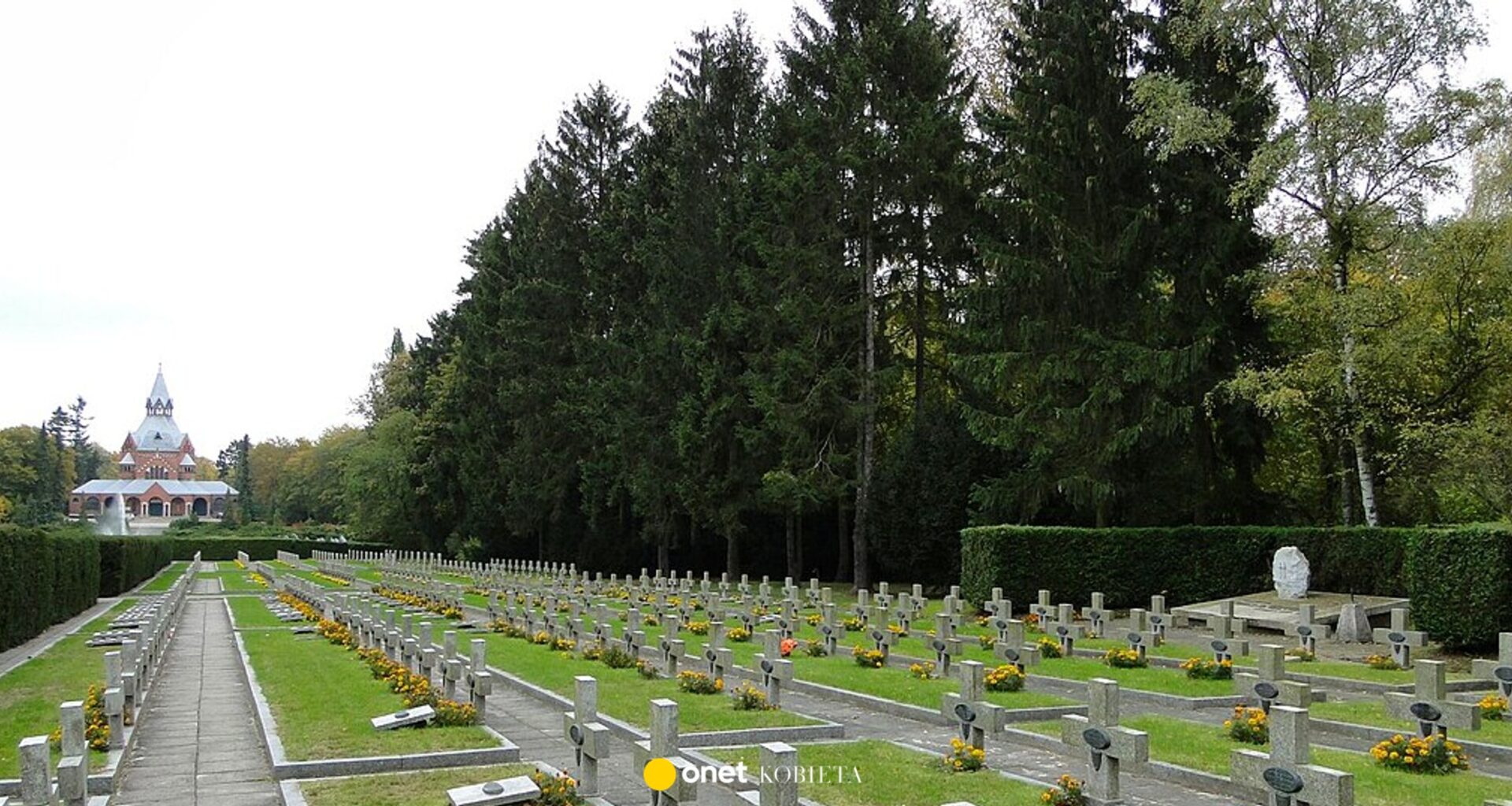 400 karteczek na grobach na cmentarzu w Szczecinie. Trzeba reagować szybko