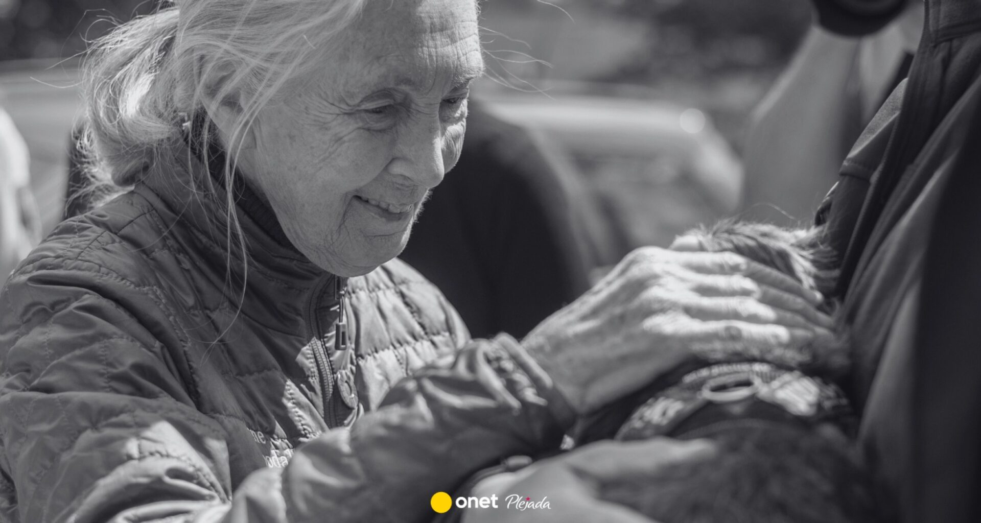 Jane Goodall nie żyje. Podano przyczynę śmierci wybitnej naukowczyni