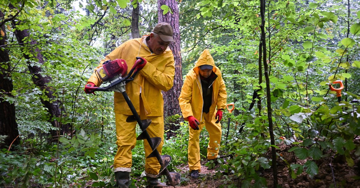 Poszukiwania szczątków żołnierzy UPA we wsi Jureczkowa na Podkarpaciu