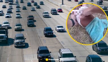 Reanimowali dziecko przygniecione samochodem. "Myślałem, że nie żyje"