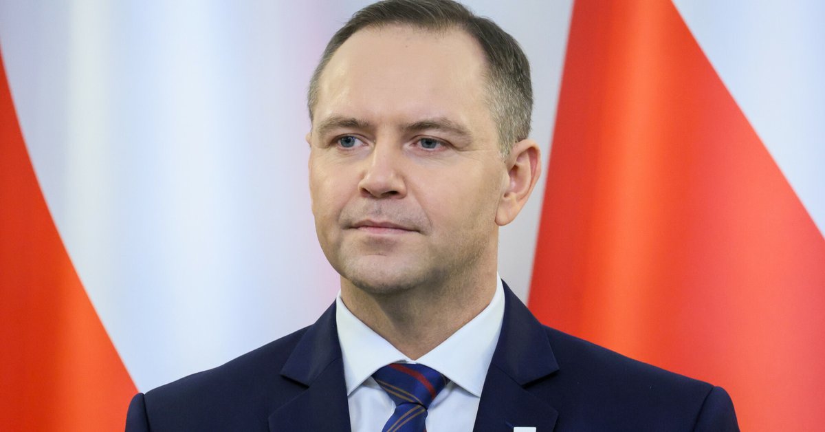 Powstanie partia Karola Nawrockiego? Polacy zabrali głos w sondażu