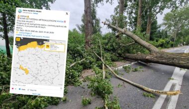 Cztery województwa zagrożone wichurą. IMGW wydał ostrzeżenia pierwszego stopnia - Onet