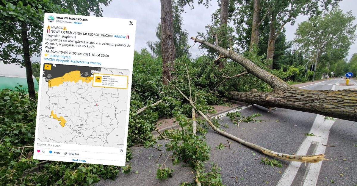 Cztery województwa zagrożone wichurą. IMGW wydał ostrzeżenia pierwszego stopnia - Onet