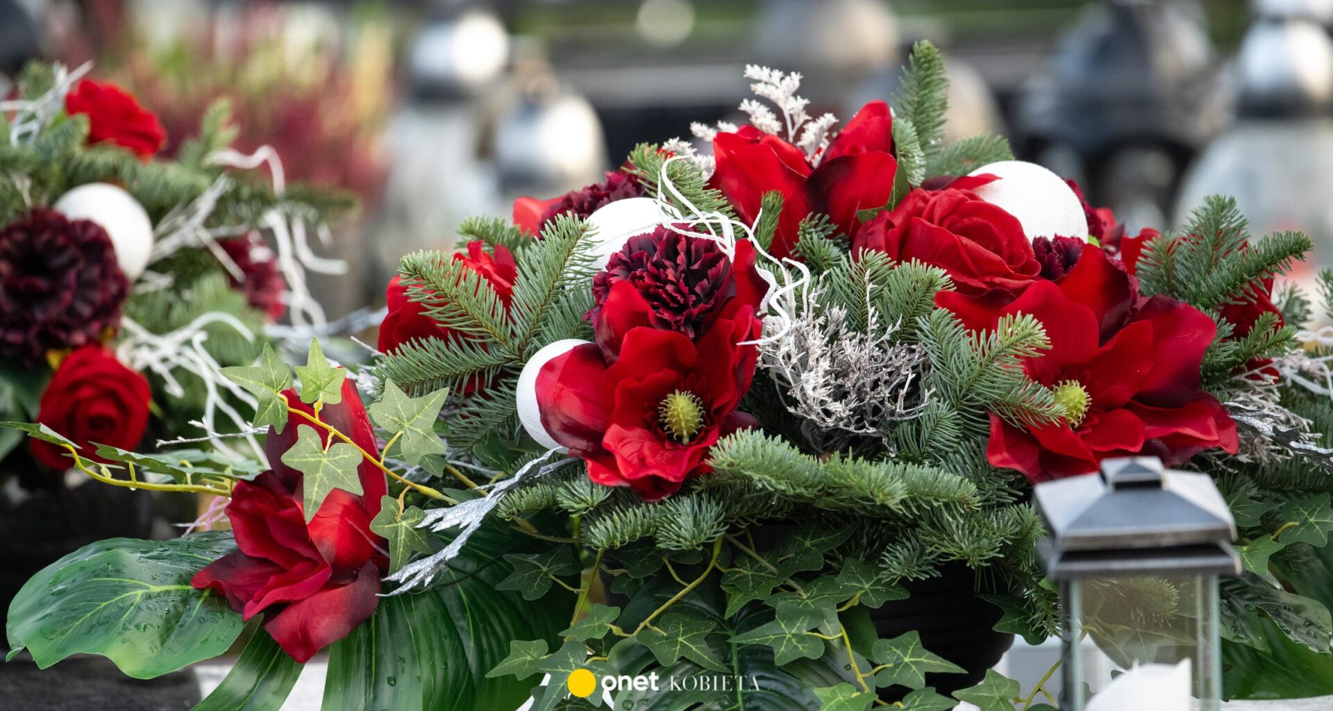 Mandaty za gałązki na groby. Straż Leśna rusza z kontrolami w lasach