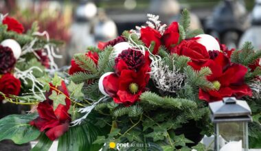 Mandaty za gałązki na groby. Straż Leśna rusza z kontrolami w lasach