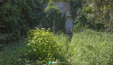 Kobieta odmówiła koszenia trawnika. Sprawa trafiła do sądu