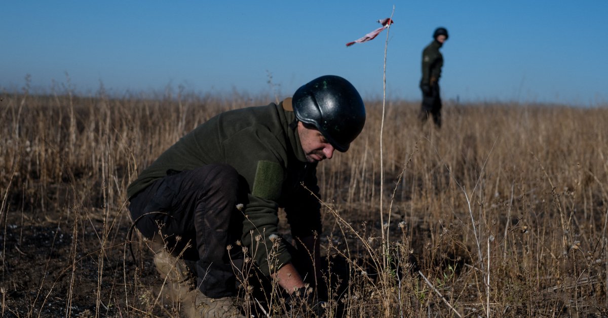 Poszukiwania grupy "Platsdarm", obwód doniecki, październik 2024 r.