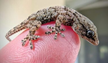 Zdjęcie Fundacja Epicrates