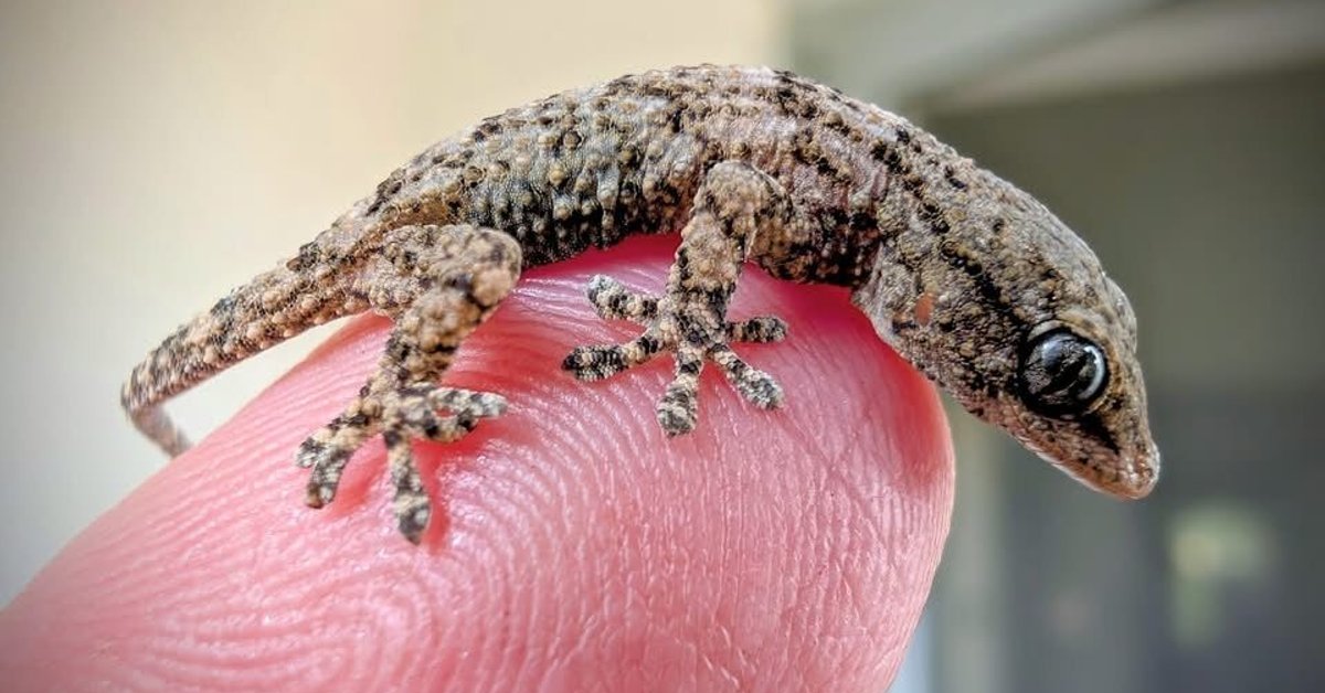 Zdjęcie Fundacja Epicrates