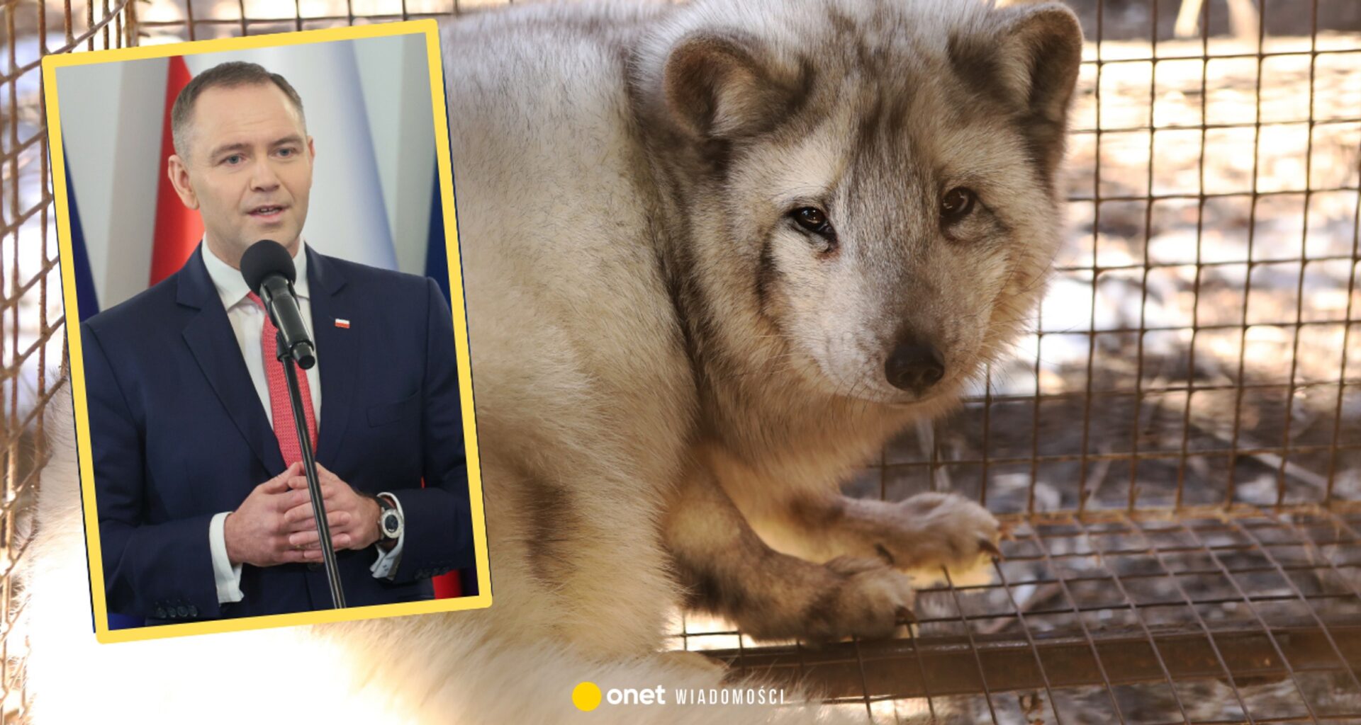 Doradca prezydenta domaga się weta. "Wszyscy na to liczą"