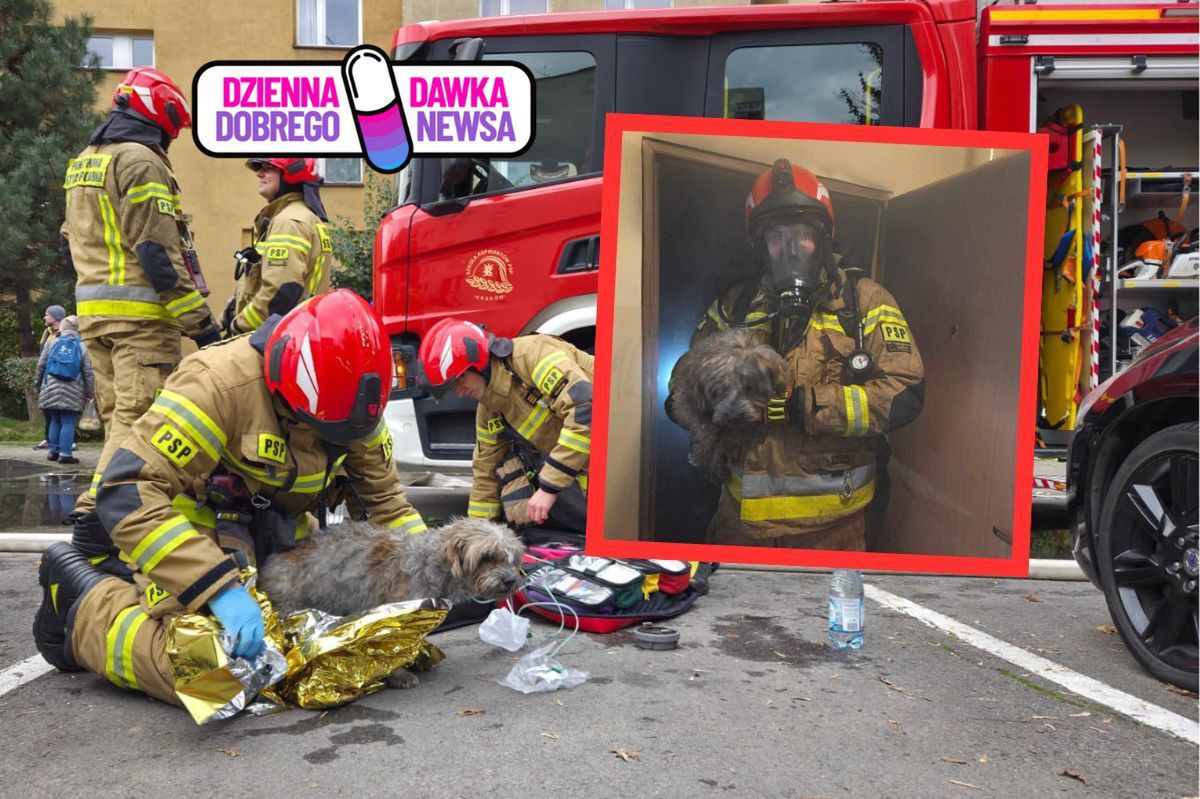 Mieszkanie płonęło. W środku skomlał pies. Strażak Kamil ruszył bez wahania