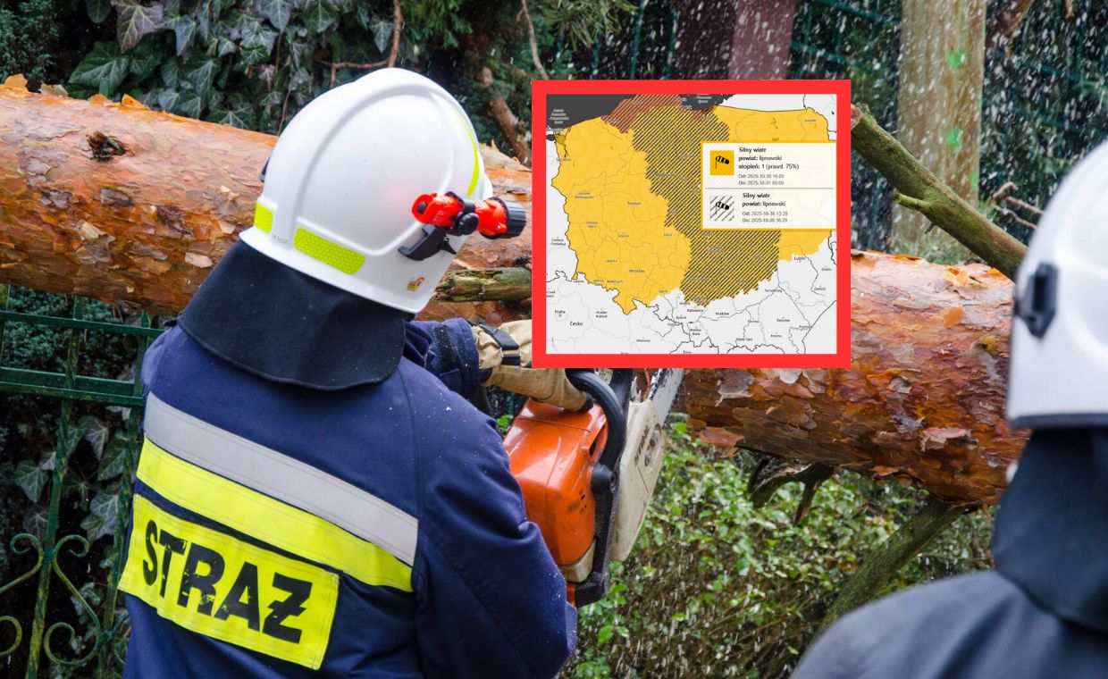 "Tajny" przekaz dnia PiS. Tak mają tłumaczyć się ze sprzedaży działki pod CPK