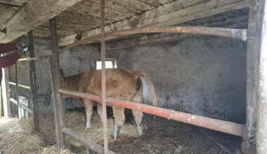 Naukowcy są przekonani. Ta choroba występuje u piłkarzy