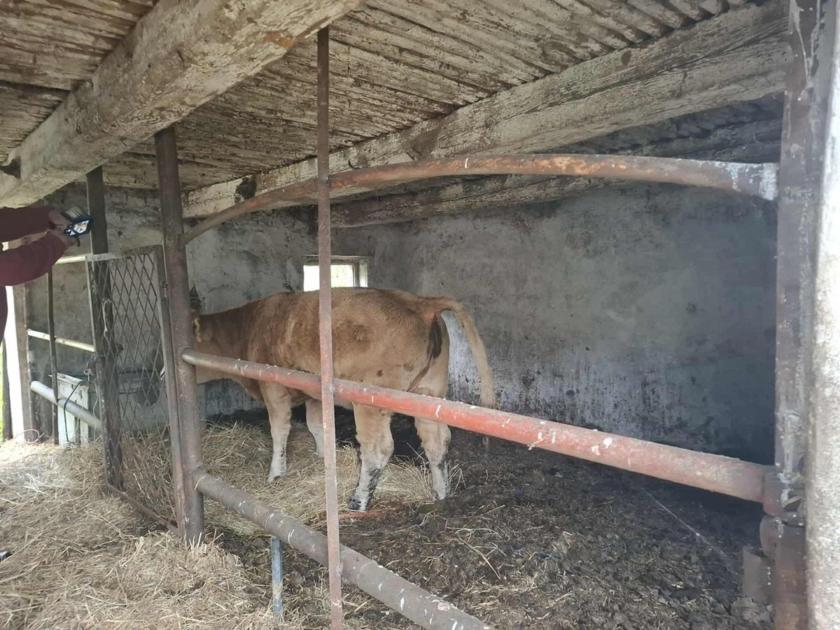 Naukowcy są przekonani. Ta choroba występuje u piłkarzy