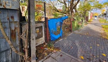 źródło: Straż Miejska m.st. Warszawy