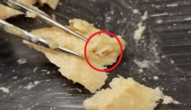 Satelity nad Arktyką. Rosja chce ich mieć jeszcze więcej