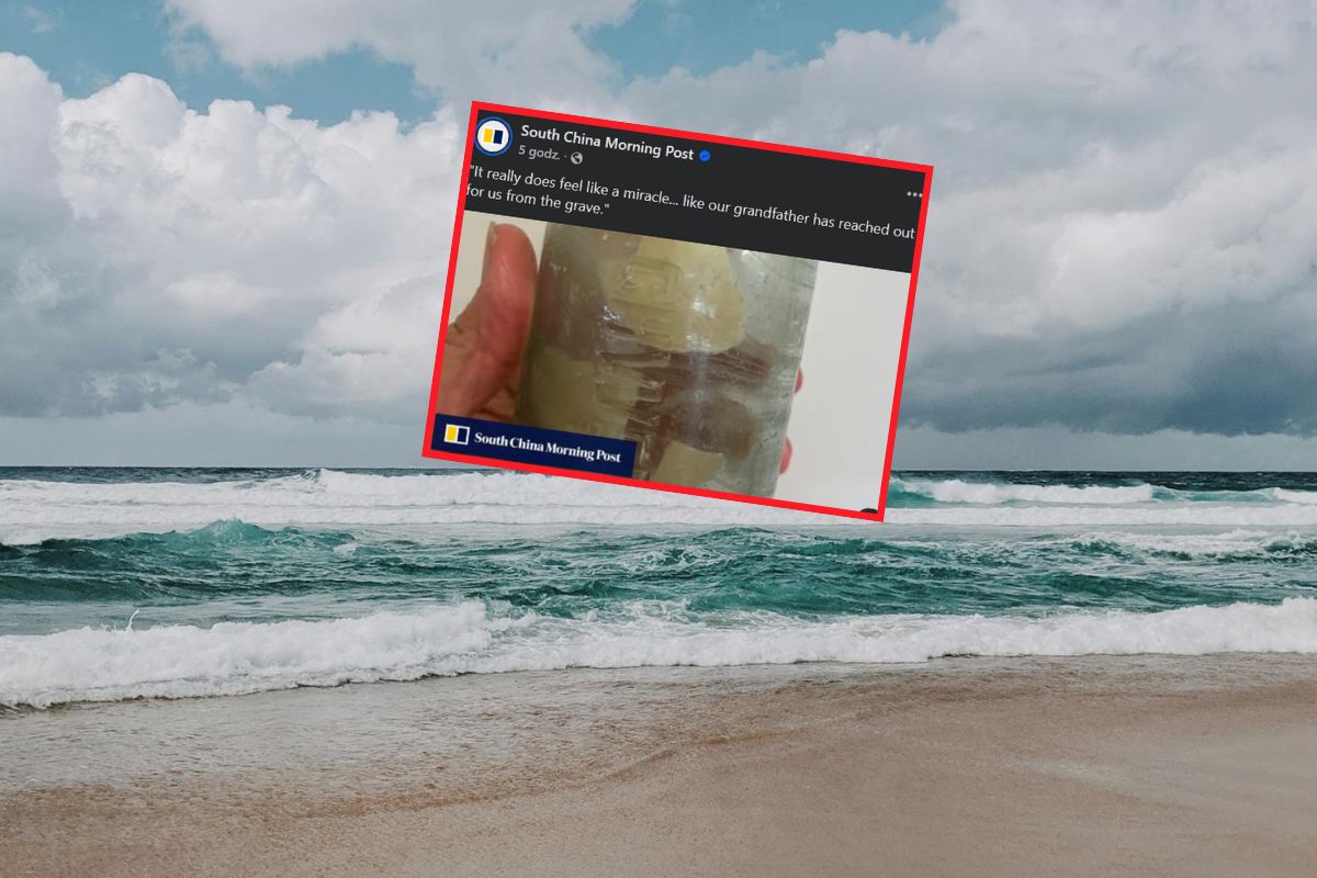 Japonka poszła na samozbiory pod Wrocławiem. "W Japonii płacimy za wstęp"