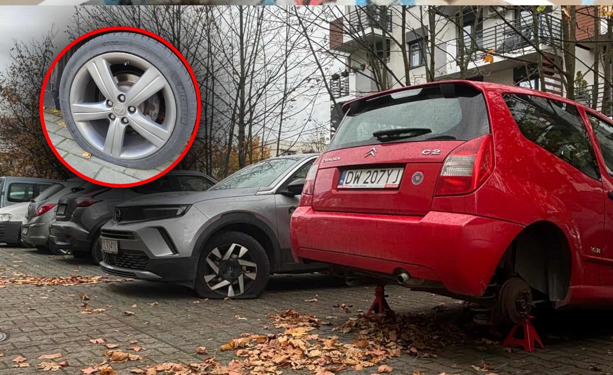 Oszustwo bankowe w całym kraju. Ważne oświadczenie Santandera
