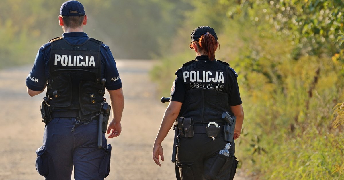 Mężczyzna został śmiertelnie pogryziony przez psy. Właściciel zwierząt zatrzymany