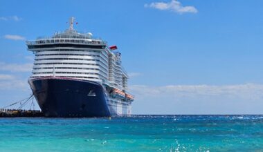 Pasażerka została porzucona przez statek wycieczkowy na niezamieszkałej wyspie (zdjęcie ilustracyjne)