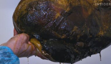 Czarna szynka Emmett’s z Suffolk. Jak powstaje kulinarny klejnot?
