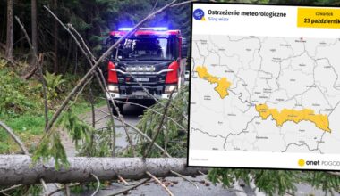 Kolejne dni także zapowiadają się wietrznie