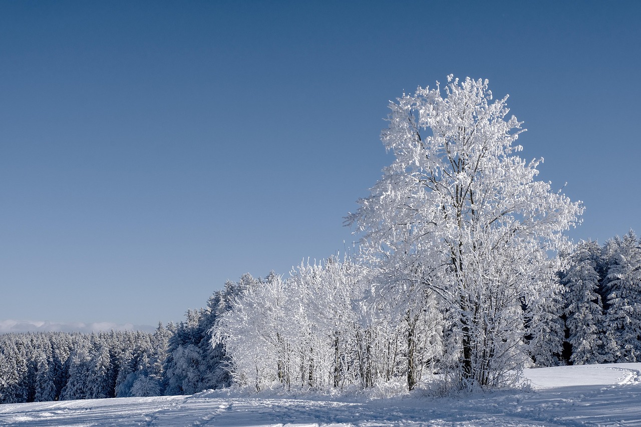 Śnieg, zima