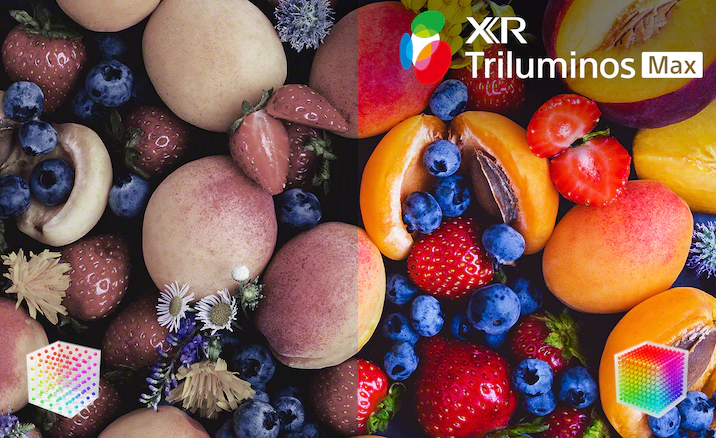 Porównanie jakości kolorów w technologii XR Triluminos Max w telewizorze Sony BRAVIA 8 II – intensywniejsze barwy i większy kontrast