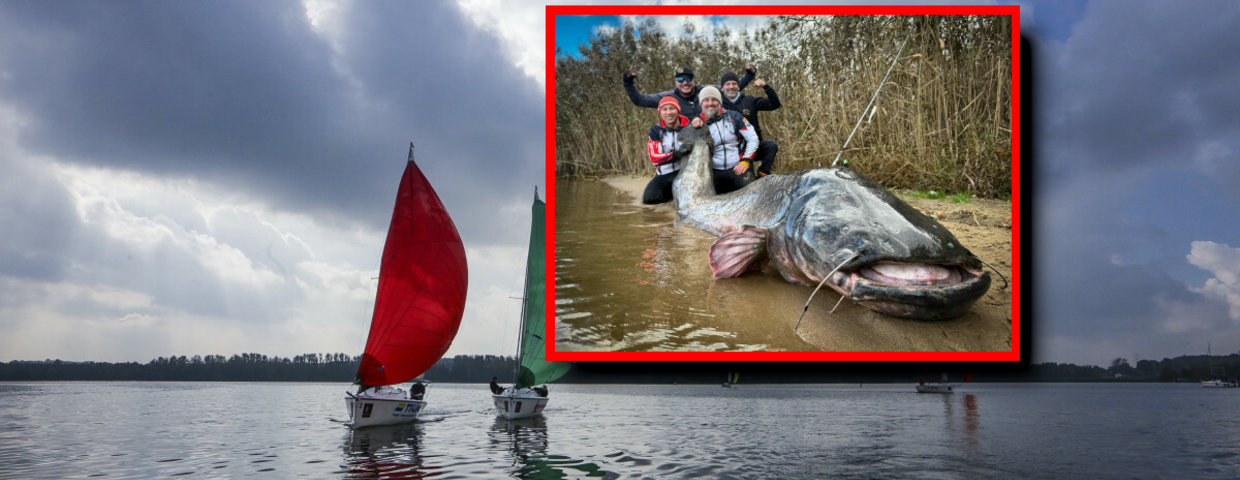 Sum gigant. Nowy rekord świata, Polacy złowili potwora
