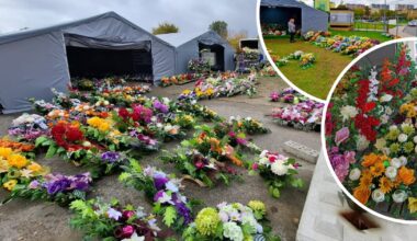 Tak Polacy kupują wiązanki na groby. Florystka zdradza, jakie są różnice