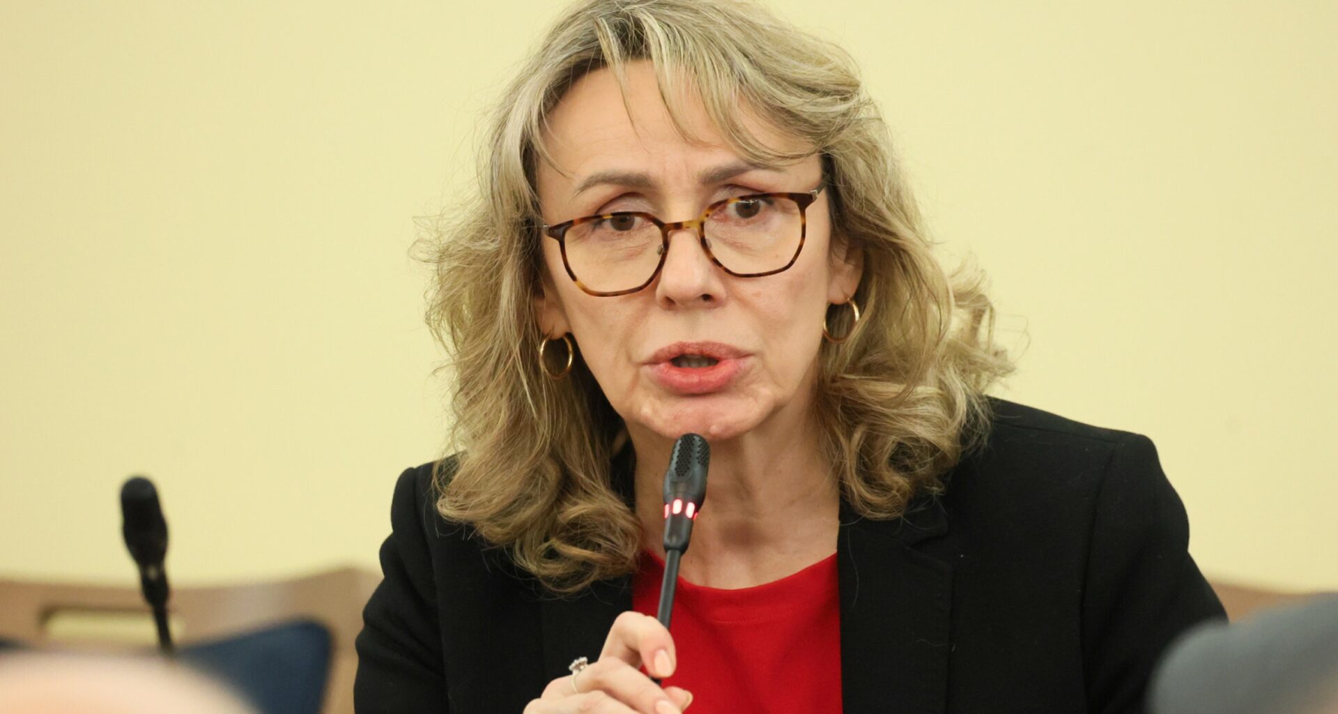 Agnieszka Romaszewska-Guzy