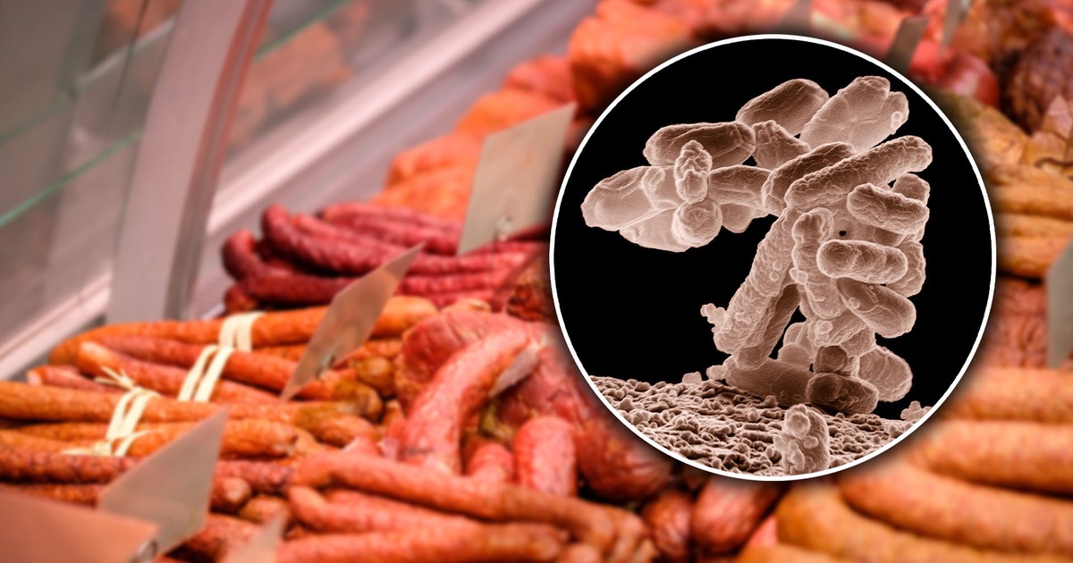 groźne bakterie w popularnych wędlinach