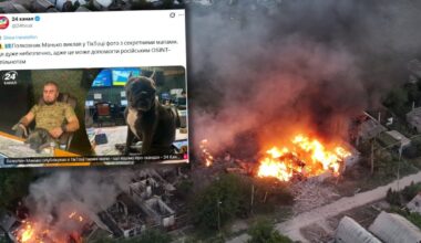 Ukraiński oficer wywołał w sieci burzę przez zdjęcie z psem. "Może pomóc wrogowi"