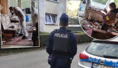 Eksplozja w mieszkaniu w Głubczycach. Wybuchła "pamiątka" z lasu