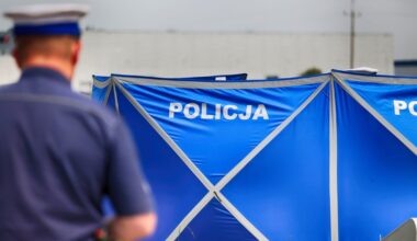Tragedia w Łódzkiem. 75-latek zagryziony przez kilka psów. Nowe informacje (zdj. ilustracyjne)