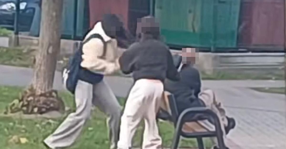 Zdjęcie z miejsca zdarzenia udostępnili policjanci z Krasnegostawu