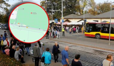 Gekon w rukoli z Lidla. Niezwykła podróż przez pół Europy