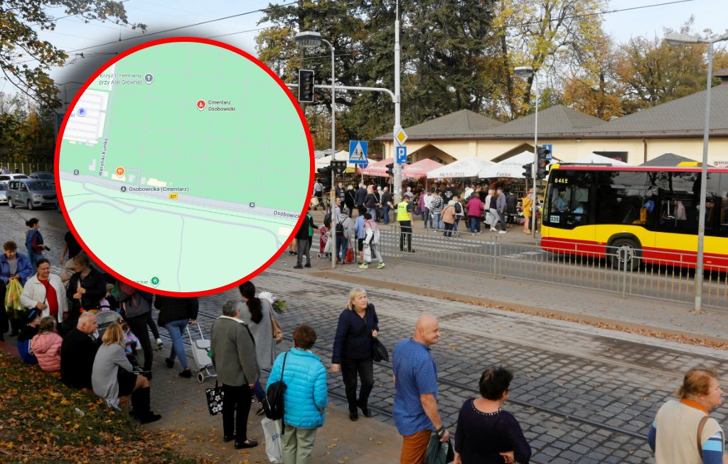 Gekon w rukoli z Lidla. Niezwykła podróż przez pół Europy