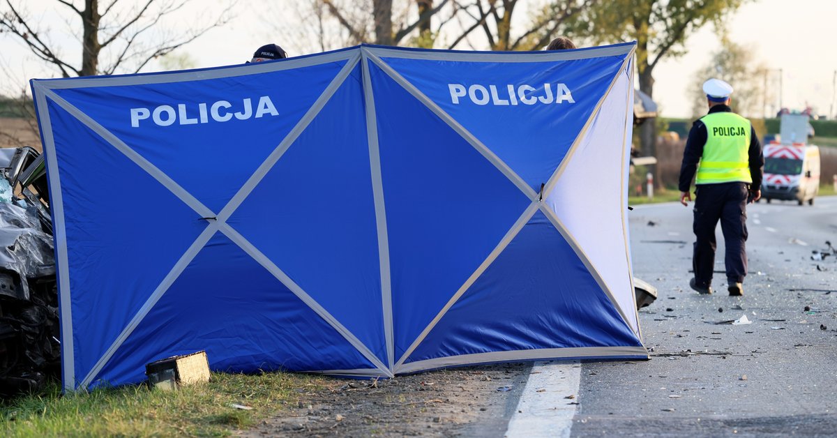 Policja badająca okoliczności wypadku (zdj. ilustracyjne)