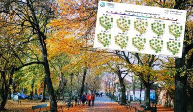 Przed nami długi okres z wysokimi temperaturami