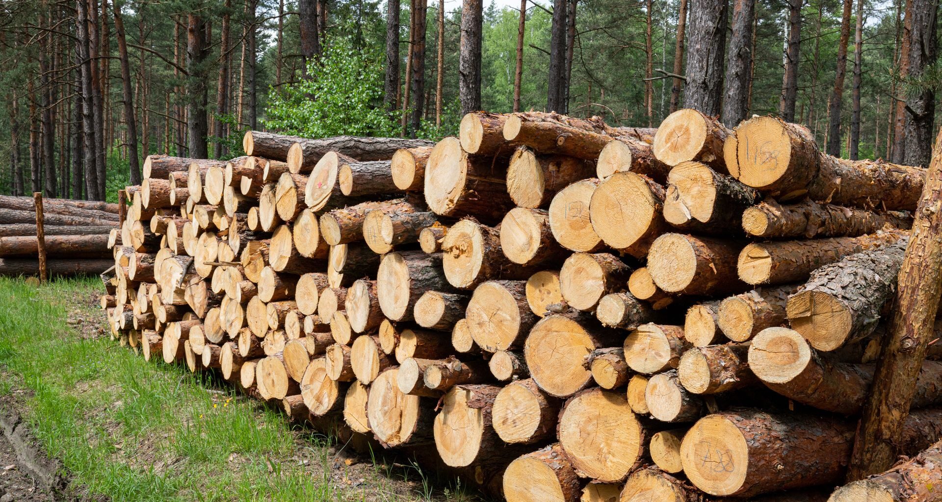 Vinci z grupy BGK przedstawia nową strategię inwestycyjną